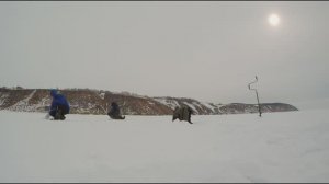 Зимняя рыбалка на Волге на крупного окуня
