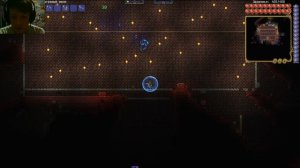 Гайд как победить мозг ктулху в каламити на мастере в режиме смерть за все классы #5