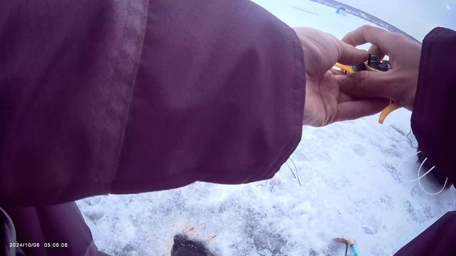 Кандрыкуль🎣 Вечерний клев👍 Мормышка 2 мм. Леска 0,085 мм. Наживка мотыль и тесто🎣