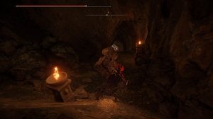 Elden Ring Shadow of ERDtree [8] Драконья яма/ Древний дракон Сенессакс