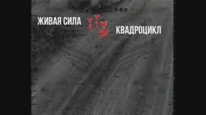 ❗Курское направление

Ретроспективные кадры работы боевых групп «Рубикона»