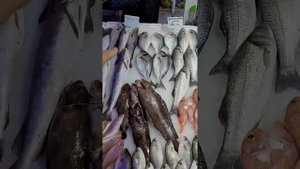 Цены на рынке Турции 4 марта 2025 вторничный рынок в Алании цены на морские продукты и мясо в Турции