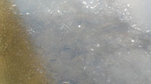 Сбрендила совсем погода,Она чуднее всё год от года....
У нас сегодня выходной, а воскресенье рабочий