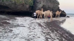 Take a sunset walk with me at Serena Beach Shanzu Mombasa, Kenya