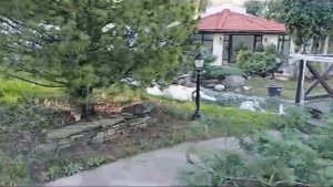 пруд с ручьем и мельницей от www.waterfall.moscow