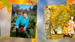 Слайд шоу  Осень