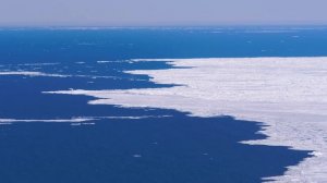 Мусор — одна из основных экологических проблем современности