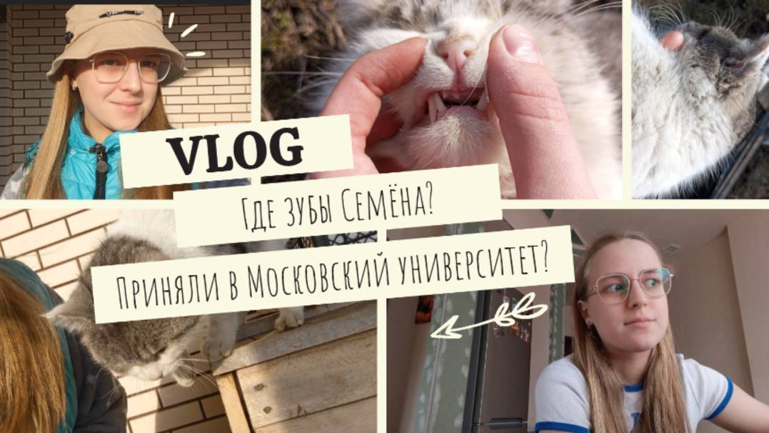 VLOG Где зубы Семёна?🦷 Приняли в Московский университет?🎓