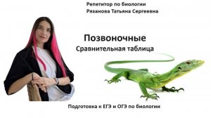 Рыбы, земноводные, рептилии, птицы - шпаргалка по позвоночным