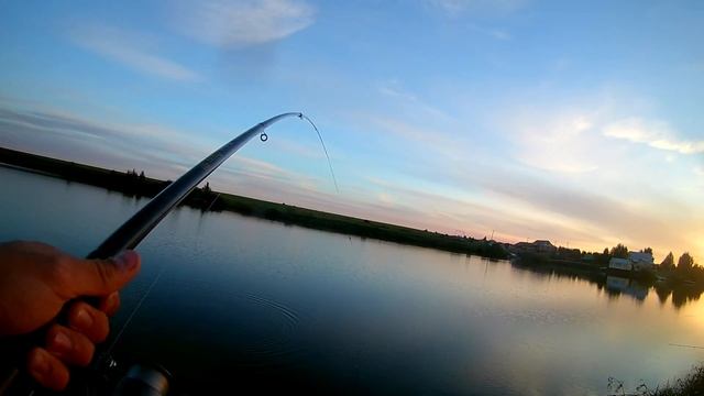 Карп на 2.300гр смотреть онлайн