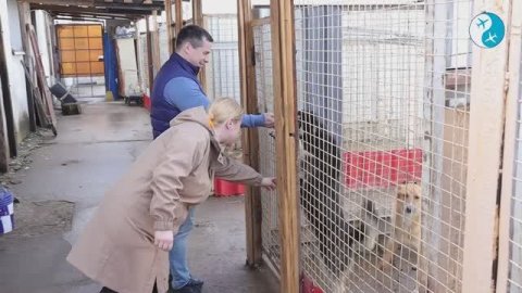 Зампред Мособлдумы в гостях у приюта для животных в Раменском