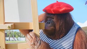 Animalia - Orangutan Rambo is an amazing artiste!