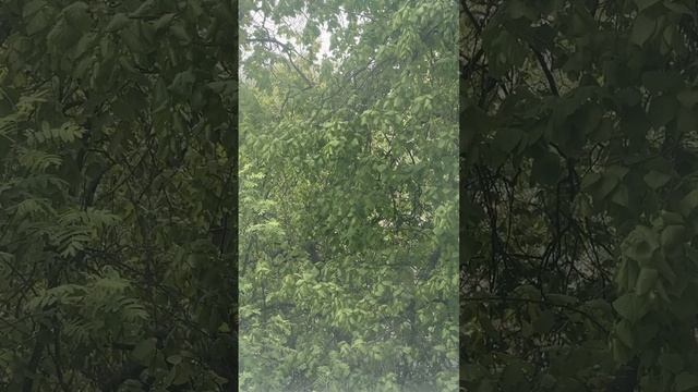 Диалоги с женой на фоне снега из окна (Москва, 08.05.24)