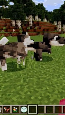 Арбуз #мемы_тикток #minecraft