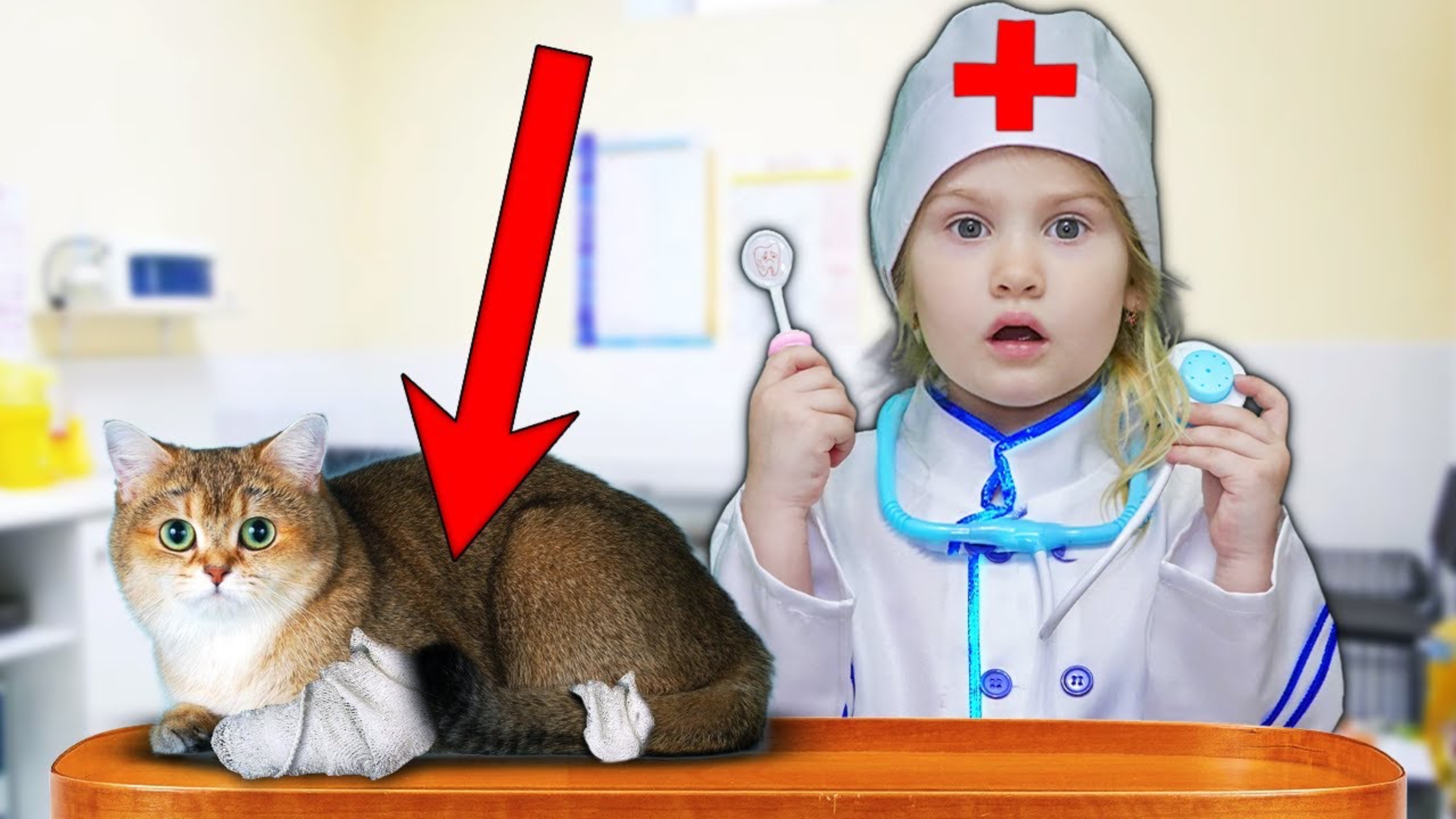 Полли Фаст и история про кота и ветеринарную клинику