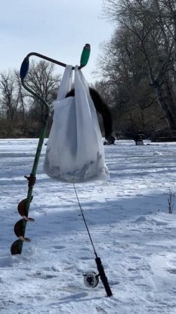 ВОРОВКА
