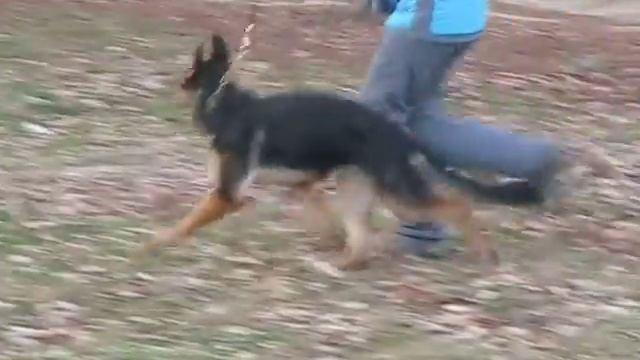 Магия уходит на 0,5 км пробежку смотреть онлайн