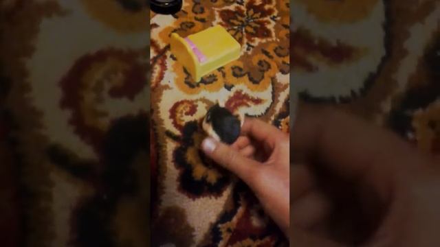 Коралина в стране кошмаров 1 серия смотреть онлайн