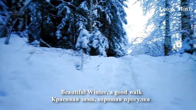 Beautiful Winter, a good walk with Leo and Mini! Norway / Красивая зима, хорошая прогулка! Норвегия