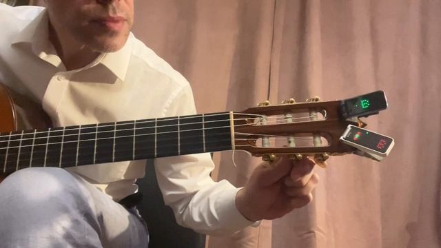 Битва гитарных тюнеров: TC Electronic Unitune Clip vs Flama FT01. смотреть онлайн