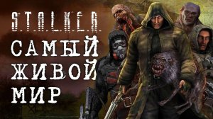Как работает A-life в S.T.A.L.K.E.R. Тень Чернобыля и как создали симуляцию жизни в Сталкере