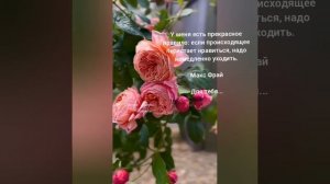С днём рождения тебя,Бэла.