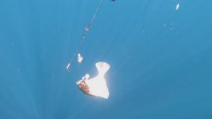 рыбалка с давидом 2