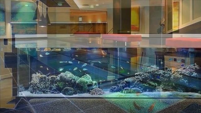 50 Best Aquariums for your home