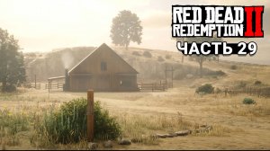 Red Dead Redemption 2 - Прохождение #29
