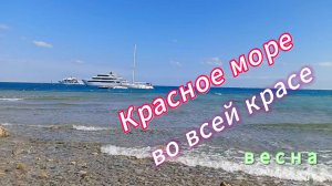 Красное море шум прибоя, атмосферное видео, релакс