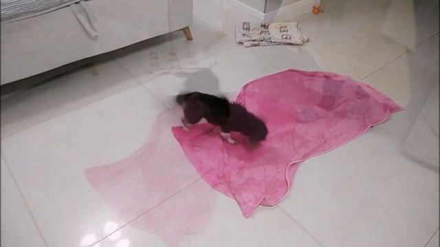 Cuties are swimming, having fun and relaxing .✔️ ❤️ смотреть онлайн