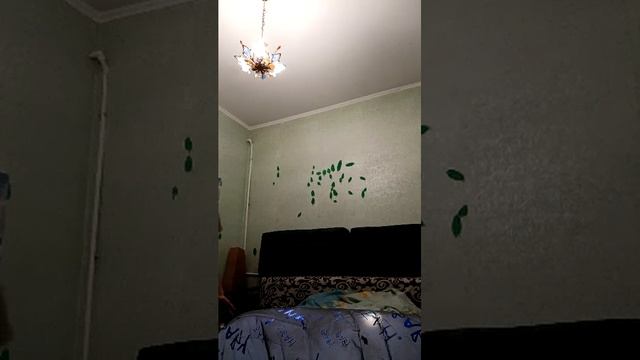 Только для девочек