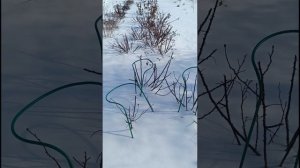 Торопиться не надо.