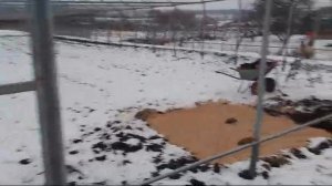 Изготовление теплицы