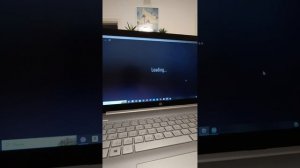 ROBLOX "DOORS" 💿🚪🚪🚪