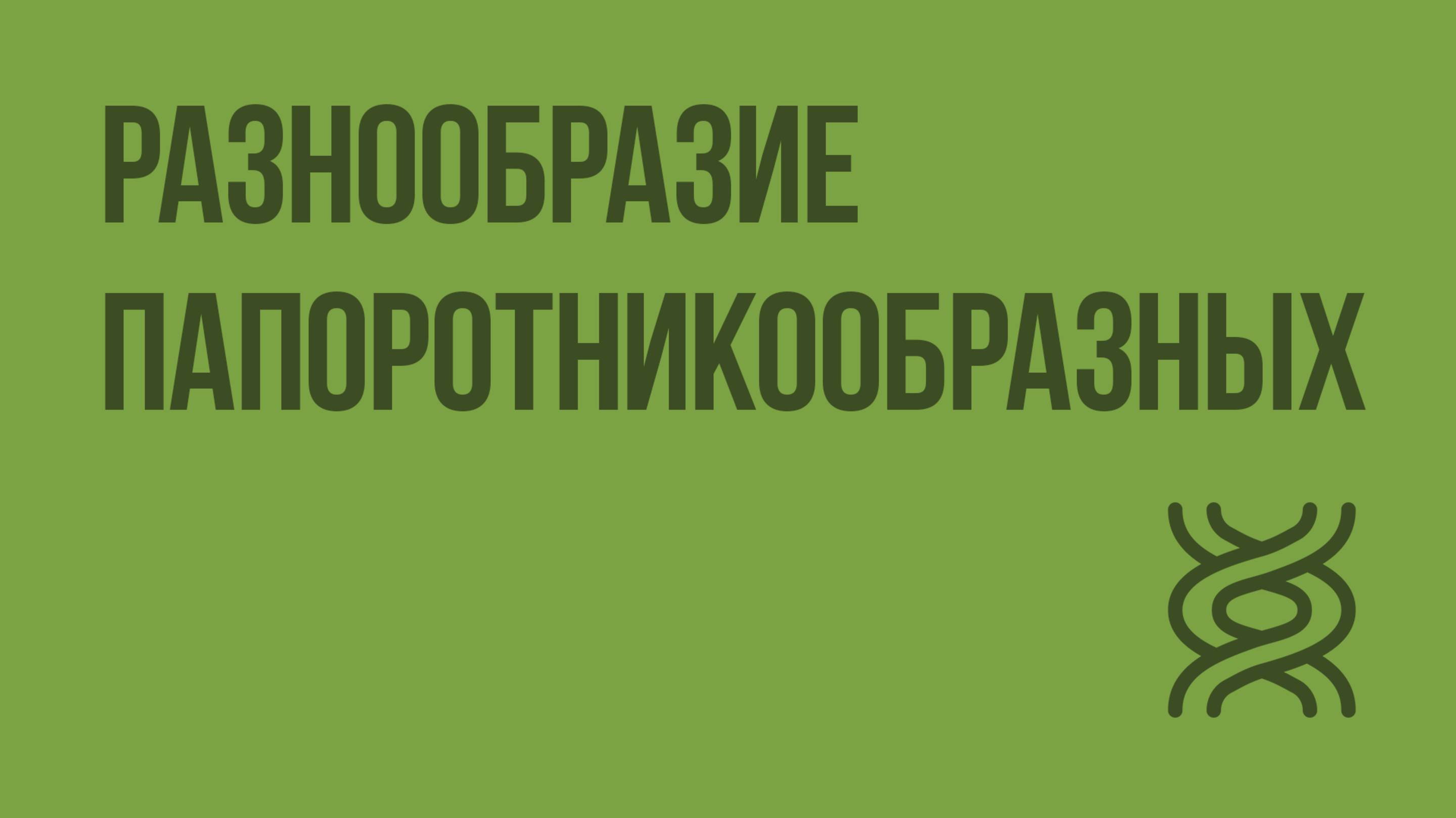 Разнообразие папоротникообразных. Видеоурок по биологии 5 класс