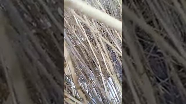 Рыбак от бога смотреть онлайн