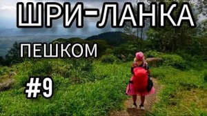 9. Пешее путешествие по Шри-Ланке: чайные плантации, водопады, буддийские храмы и ночевки в горах.