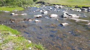 Beshake river spring 2021 | Бурзянский район река Бешаке + 18 🌍 #рекомендации #рек #рекабешаке