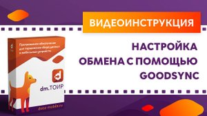 DM.ТОИР. Настройка обмена с помощью GoodSync