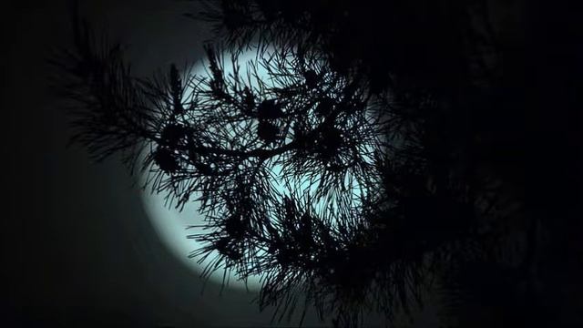 Ottorino Respighi： Pini di Roma смотреть онлайн