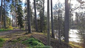Квартира на берегу р. Оредеж