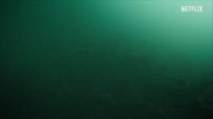 Акулы в Париже — Русский трейлер (Субтитры, 2024)