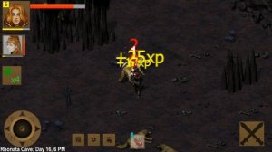 Exiled Kingdoms Quest Walkthrough - A Wild Mystery