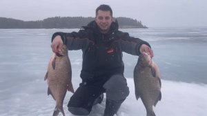 Трофейный лещ не лезет в лунку.Рыбалка на коромысло.Последний лед 2025