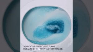 CZR-2426-TH-TOR/SC