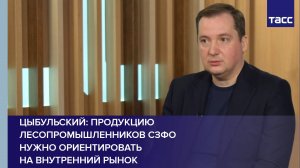 Цыбульский: продукцию лесопромышленников СЗФО нужно ориентировать на внутренний рынок