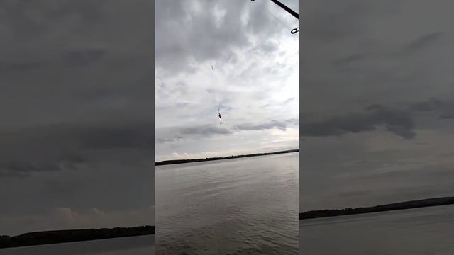 20.08.23г. Макарьево.Рыбалка на Волге.Речной круиз. @mosturflot смотреть онлайн