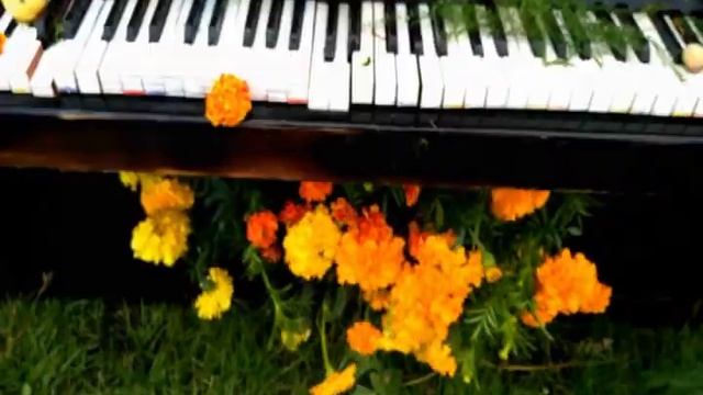 Мелодия ветра смотреть онлайн