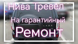Нива Тревел ///На Гарантийный ремонт ///Мойка двигателя. #ниватревел #nivatravel
